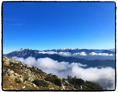 Angèle Paoli Écrire l’exil Angèle Paoli Écrire l’exil
