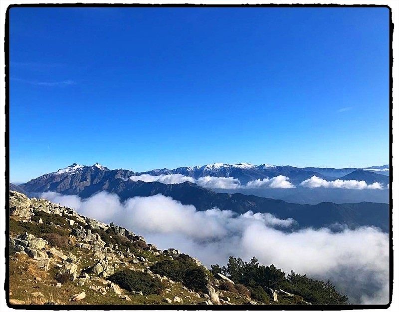 Angèle Paoli Écrire l’exil