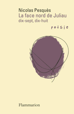 Nicolas Pesquès, La Face nord de Juliau dix-sept, dix-huit, Flammarion, Collection Poésie/Flammarion, 2020. Juliau 17