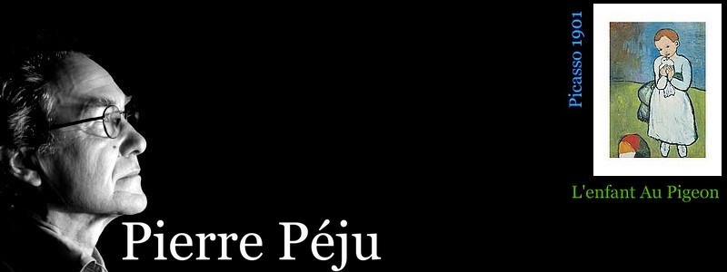Portrait de Pierre Péju