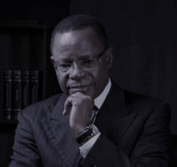 Maurice Kamto Maurice Kamto denim