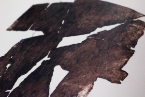 Monotype de Gilles du Bouchet