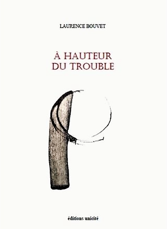 A-hauteur-du-trouble4