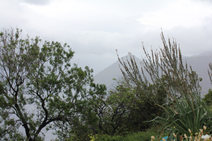 Paysage noyé IMG_9329