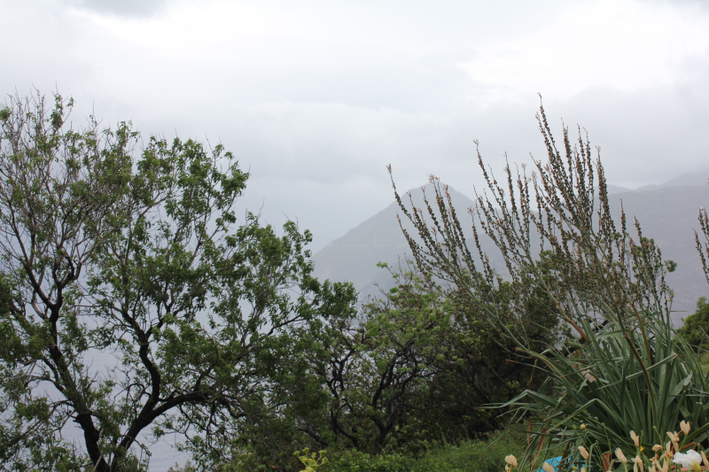 Paysage noyé IMG_9329