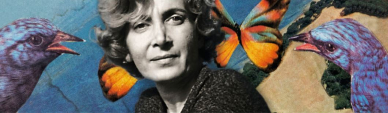 Andrée Chedid portrait