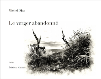 Michel Diaz  Le Verger abandonné