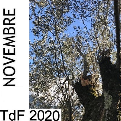 TDF NOVEMBRE 2020