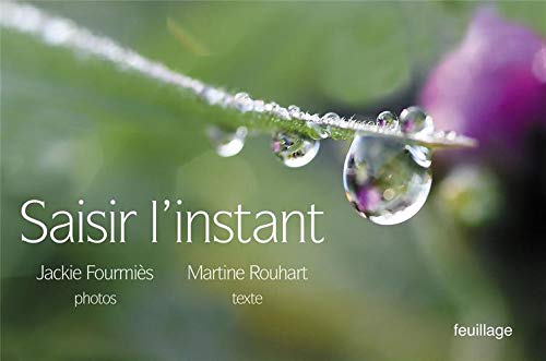 Martine Rouhart  Saisir l'instant