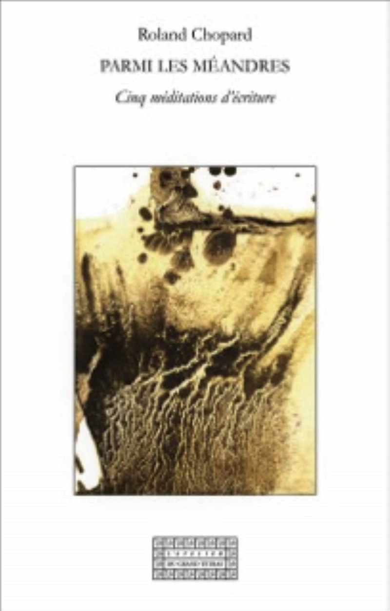 Roland Chopard  Parmi les méandres 2