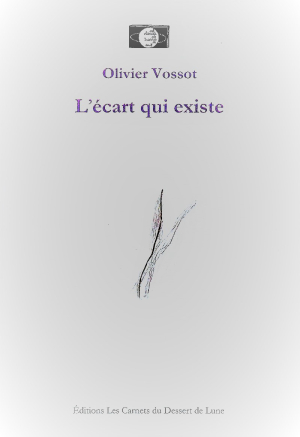 Olivier Vossot, L'Ecart qui existe Olivier Vossot L'Ecart qui existe 4