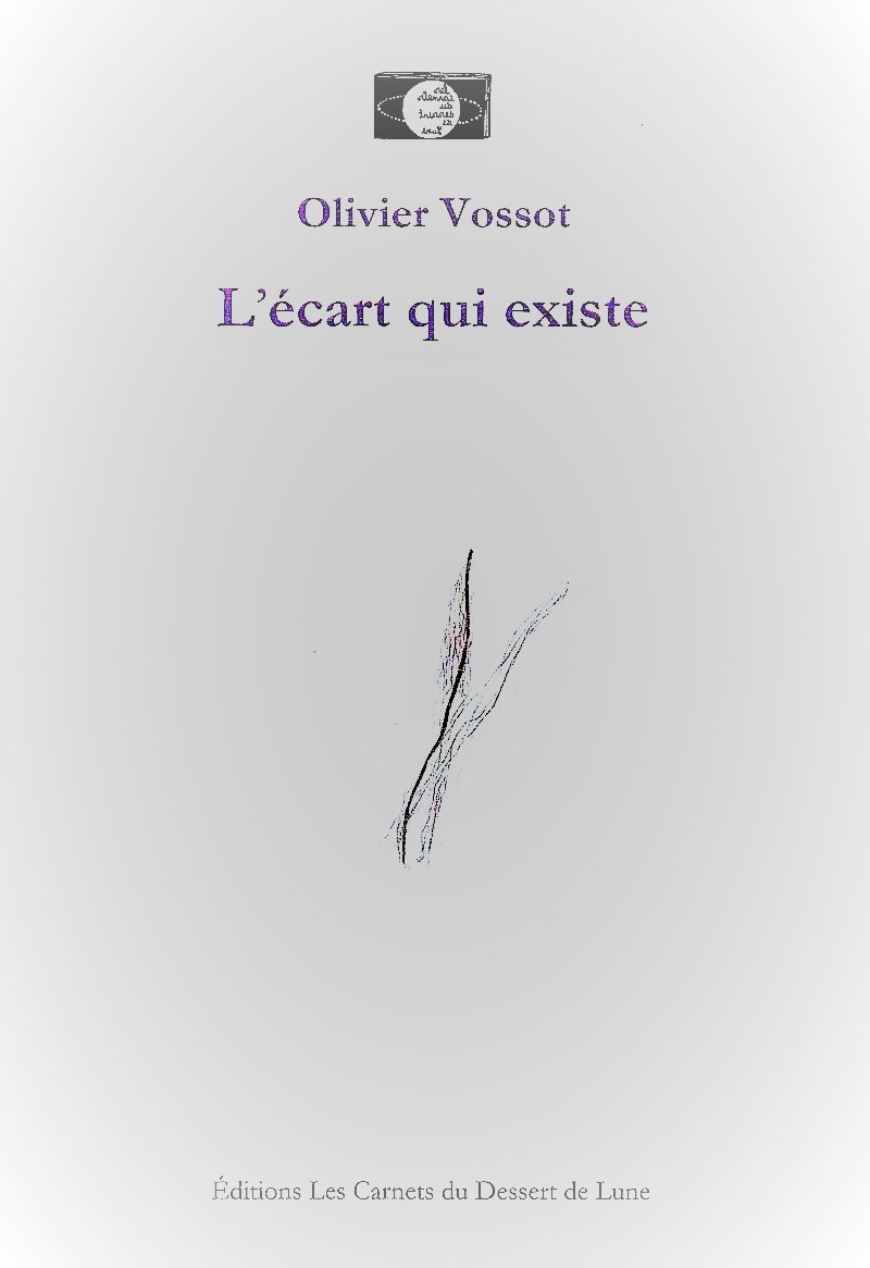 Olivier Vossot  L'Ecart qui existe 4