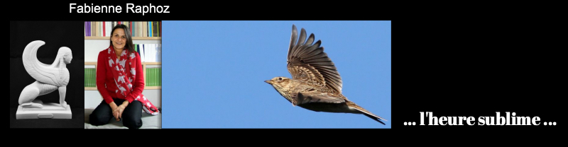 Photocollage pour Fabienne Raphoz