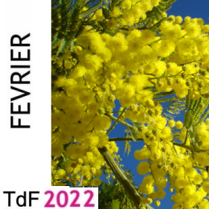 TDF FEV. 22 TDF FEV. 22