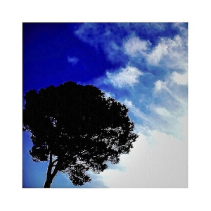 ARBRE en aquatinte ARBRE en aquatinte