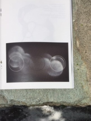 Martina ter Martina ter