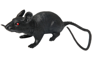 Rat Noir 
