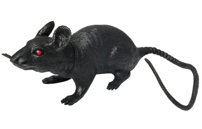Rat Noir 