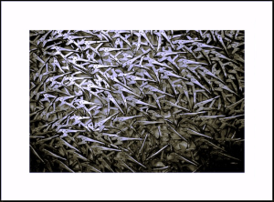 Arman  accumulation de pinces