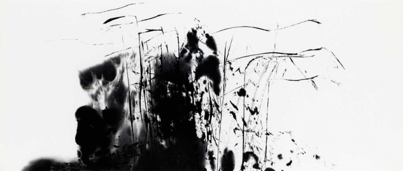 2014-Encre-sur-papier-oriental-Sans-titre-86x36-cm-1