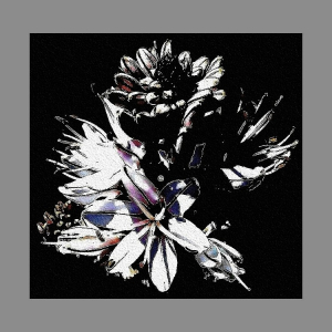 ASPHODELES POUR ANGELE PAOLI DEC 2006 