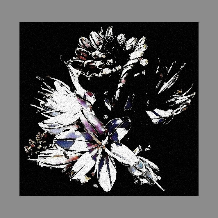 ASPHODELES POUR ANGELE PAOLI DEC 2006 