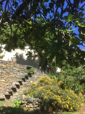 Vignale Jardin partagé Vignale Jardin partagé