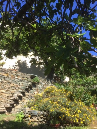 Vignale Jardin partagé