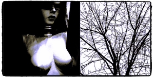 Cronce en corps Cronce en corps