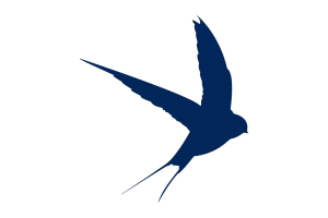 Swallows-3608071_1280 Swallows-3608071_1280