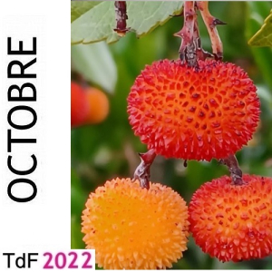 TdF Octobre 2022 TdF Octobre 2022