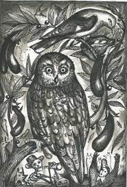 Hibou chambon Hibou chambon