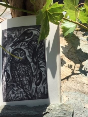 Hibou Treille Hibou Treille