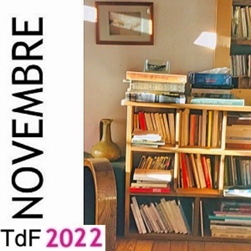 TDF NOVEMBRE 22 500