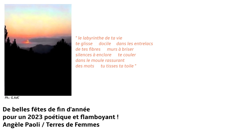 CARTE DE VOEUX TDF 2023 bis 