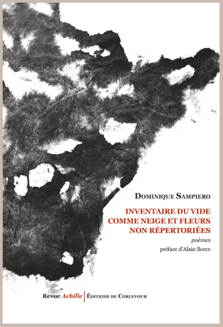 Inventaire-du-vide-comme-neige-et-fleurs-non-repertoriees-dominique-sampiero