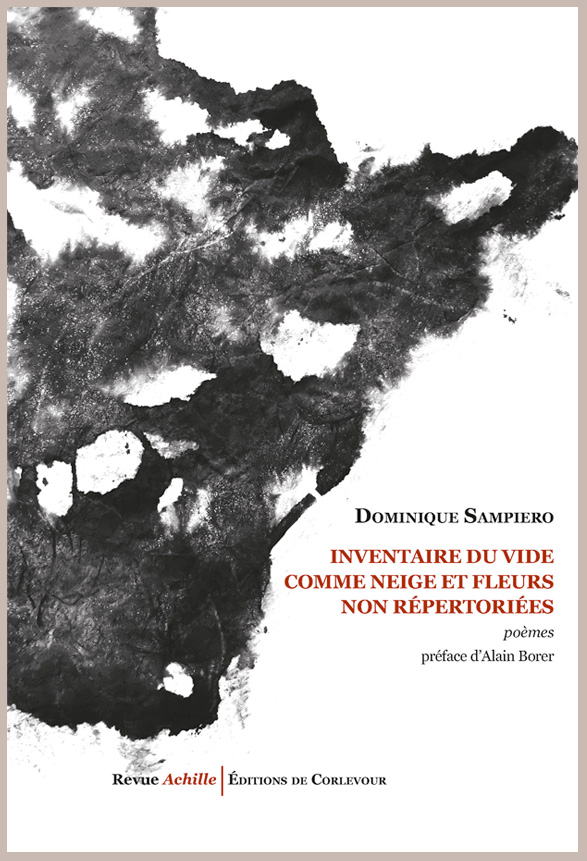 Inventaire-du-vide-comme-neige-et-fleurs-non-repertoriees-dominique-sampiero