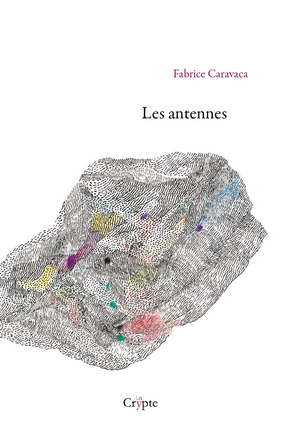 Couv_lesantennes_JPEG_bd