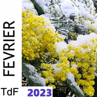 TDF FEV 2023 TDF FEV 2023