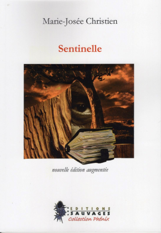 Sentinelle Sentinelle
