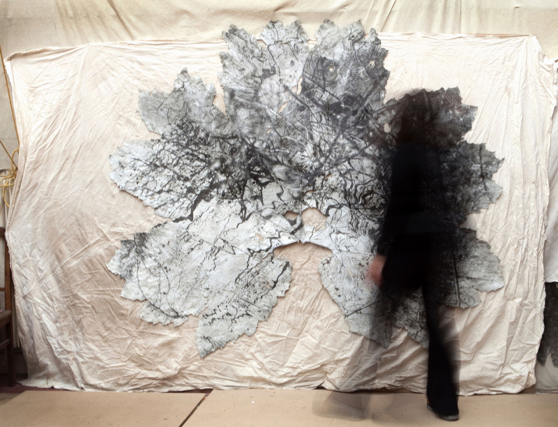 Visuel2-urpflanze-dominique-lacloche