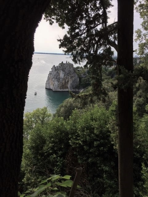 Duino Arbres.jpg Bis