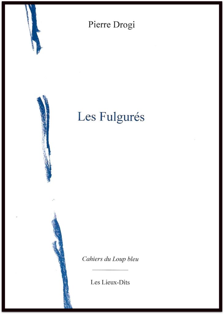 Pierre-Drogi_-les-Fulgures-ombre-731x1024