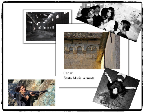 CANARI COLLAGE PHOTOS CANARI COLLAGE PHOTOS