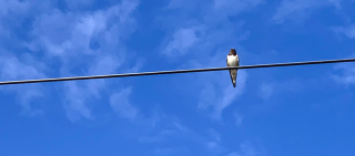 369474370_10161232201469917_3853269801065945505_n 369474370_10161232201469917_3853269801065945505_n