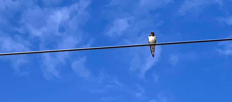 369474370_10161232201469917_3853269801065945505_n