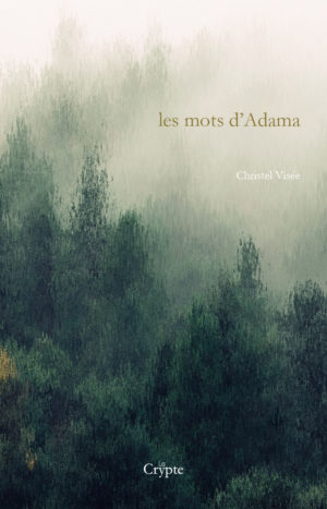 Mots_adama_VOUC_JPEG-300x467