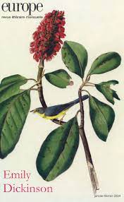 Europe Dick Europe Dick