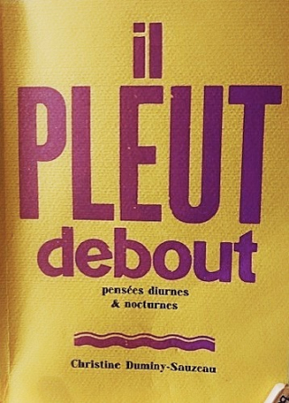Il PLEUT debout(1)