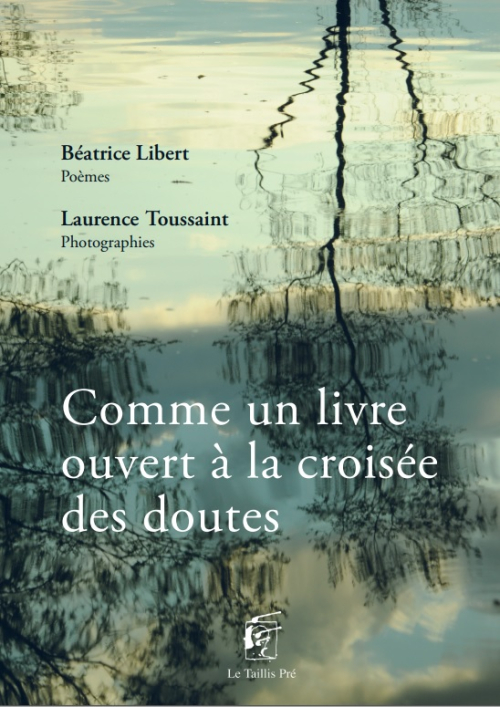 LIBERT-Comme-un-livre-Couv-RECTO